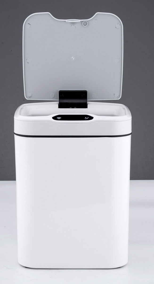 Motion sensor dustbin